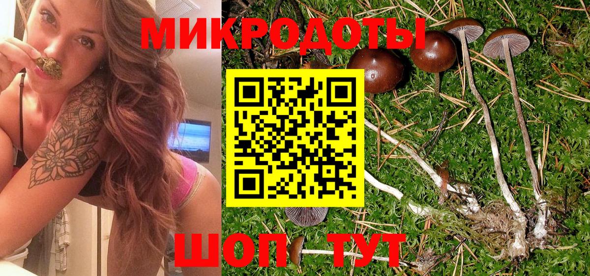 Псилоцибиновые грибы GOLDEN TEACHER  Галлюциногенные грибы Psilocybine cubensis  Вход с VPN  Комсомольск-на-Амуре 