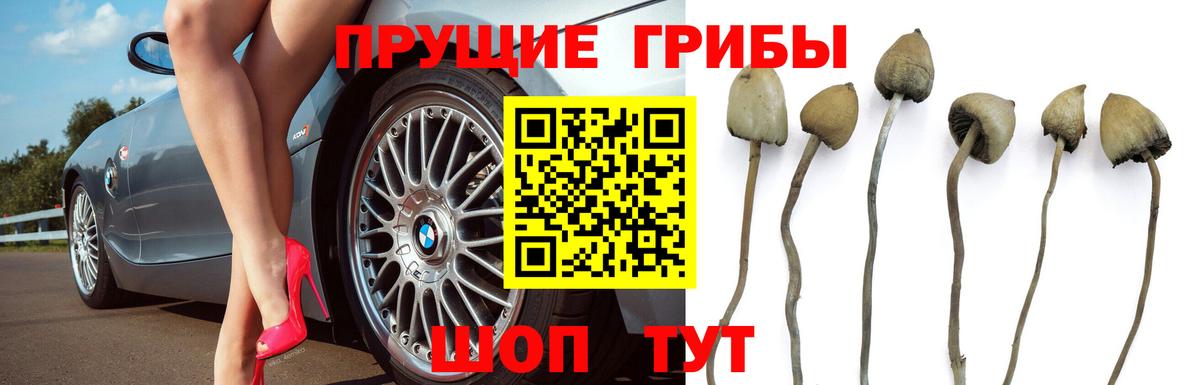 Псилоцибиновые грибы мухоморы Комсомольск-на-Амуре