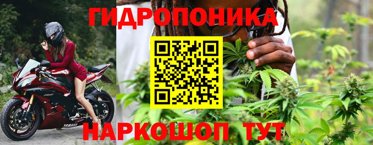 Бошки Шишки гибрид  Каннабис план  Марихуана MAZAR  Канабис Ganja  Комсомольск-на-Амуре  Вход с VPN 
